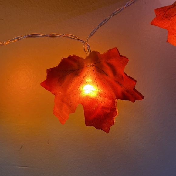 Fall Leaf String Lights - Picture 2 of 4